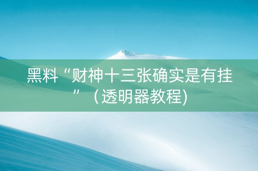 黑料“财神十三张确实是有挂”（透明器教程)