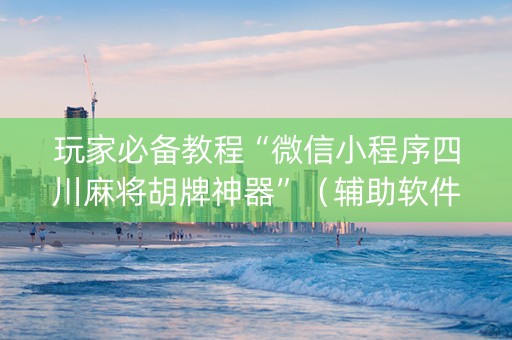 玩家必备教程“微信小程序四川麻将胡牌神器”（辅助软件)