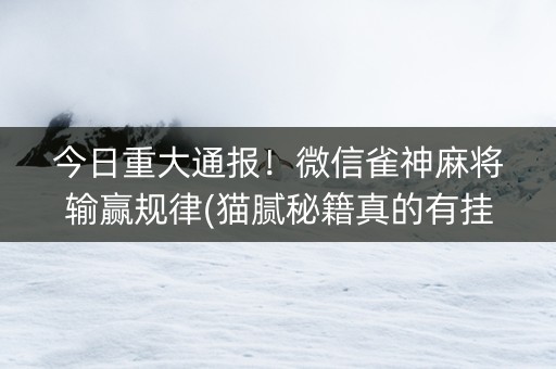 今日重大通报！微信雀神麻将输赢规律(猫腻秘籍真的有挂)