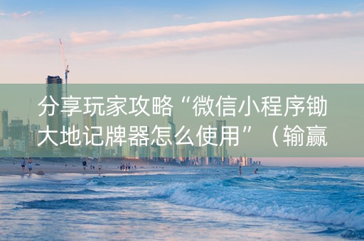 分享玩家攻略“微信小程序锄大地记牌器怎么使用”（输赢跟id号有关系吗)