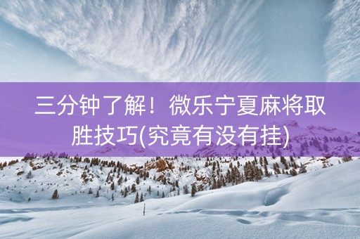 三分钟了解！微乐宁夏麻将取胜技巧(究竟有没有挂)
