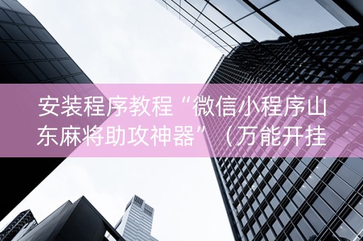 安装程序教程“微信小程序山东麻将助攻神器”（万能开挂神器)
