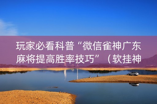 玩家必看科普“微信雀神广东麻将提高胜率技巧”（软挂神器)
