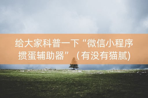 给大家科普一下“微信小程序掼蛋辅助器”（有没有猫腻)