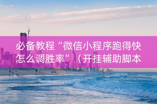 必备教程“微信小程序跑得快怎么调胜率”（开挂辅助脚本)