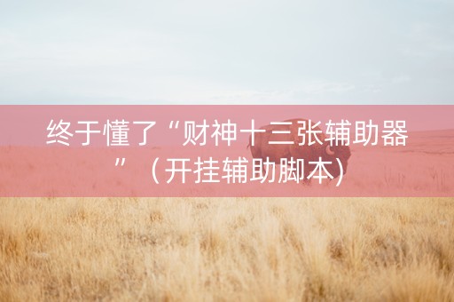 终于懂了“财神十三张辅助器”（开挂辅助脚本)