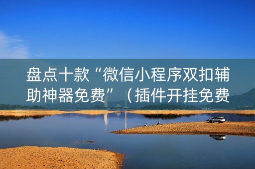 盘点十款“微信小程序双扣辅助神器免费”（插件开挂免费AI)