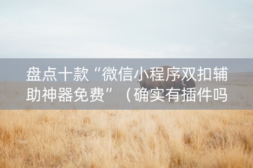 盘点十款“微信小程序双扣辅助神器免费”（确实有插件吗)