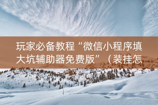 玩家必备教程“微信小程序填大坑辅助器免费版”（装挂怎么安装)