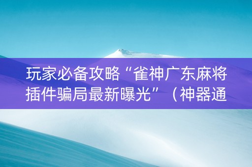 玩家必备攻略“雀神广东麻将插件骗局最新曝光”（神器通用版)