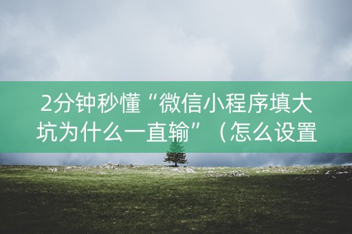 2分钟秒懂“微信小程序填大坑为什么一直输”（怎么设置才能赢)
