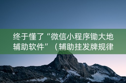 终于懂了“微信小程序锄大地辅助软件”（辅助挂发牌规律)