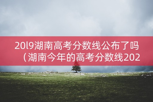 20l9湖南高考分数线公布了吗（湖南今年的高考分数线2021）