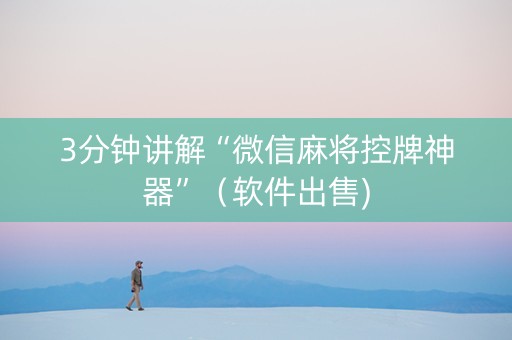 3分钟讲解“微信麻将控牌神器”（软件出售)