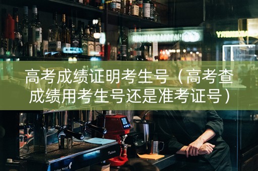 高考成绩证明考生号（高考查成绩用考生号还是准考证号）