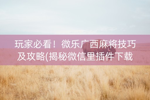 玩家必看！微乐广西麻将技巧及攻略(揭秘微信里插件下载)