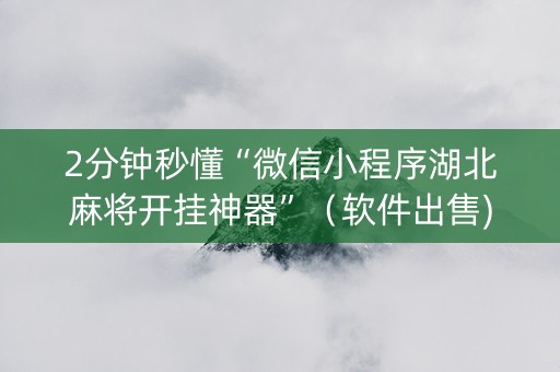 2分钟秒懂“微信小程序湖北麻将开挂神器”（软件出售)