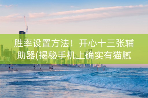 胜率设置方法！开心十三张辅助器(揭秘手机上确实有猫腻)
