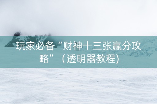 玩家必备“财神十三张赢分攻略”（透明器教程)