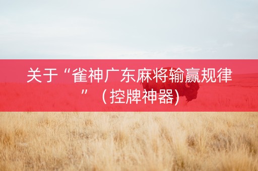 关于“雀神广东麻将输赢规律”（控牌神器)