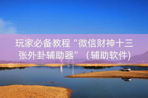 玩家必备教程“微信财神十三张外卦辅助器”（辅助软件)
