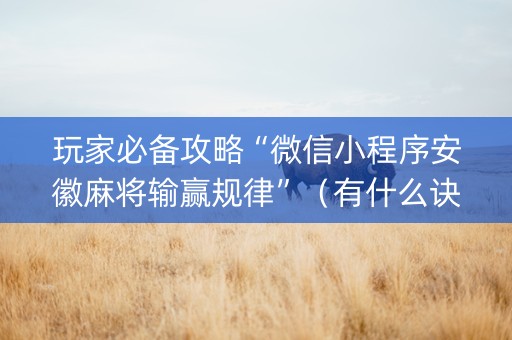 玩家必备攻略“微信小程序安徽麻将输赢规律”（有什么诀窍)