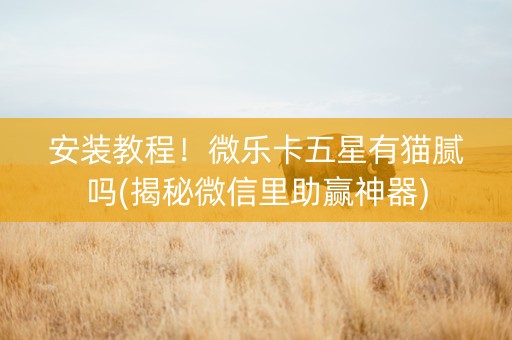 安装教程！微乐卡五星有猫腻吗(揭秘微信里助赢神器)