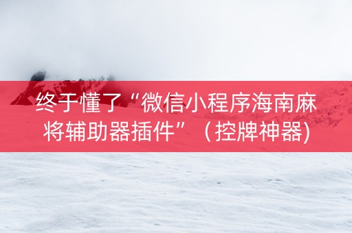 终于懂了“微信小程序海南麻将辅助器插件”（控牌神器)