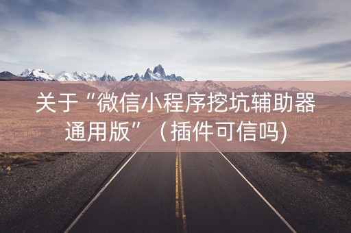 关于“微信小程序挖坑辅助器通用版”（插件可信吗)