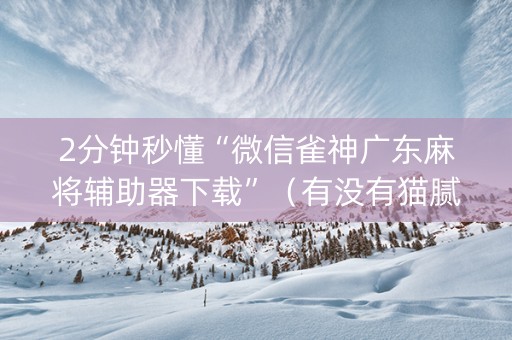 2分钟秒懂“微信雀神广东麻将辅助器下载”（有没有猫腻)