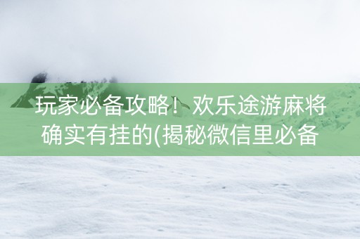 玩家必备攻略！欢乐途游麻将确实有挂的(揭秘微信里必备神器)