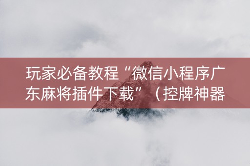 玩家必备教程“微信小程序广东麻将插件下载”（控牌神器)