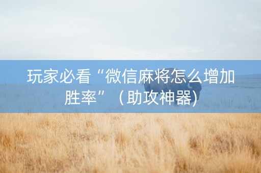 玩家必看“微信麻将怎么增加胜率”（助攻神器)