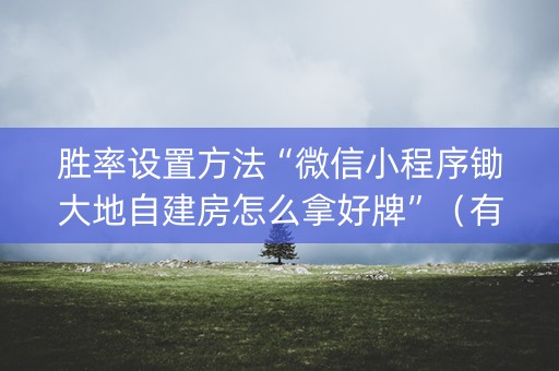 胜率设置方法“微信小程序锄大地自建房怎么拿好牌”（有什么诀窍)