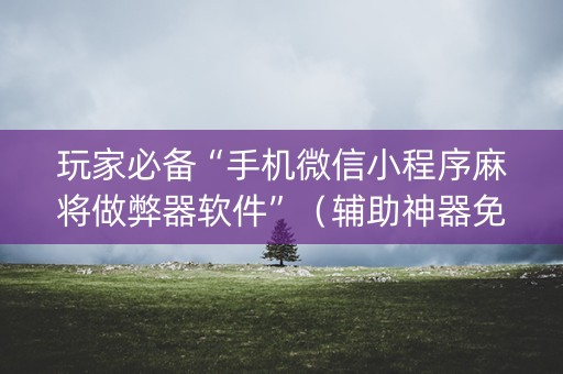 玩家必备“手机微信小程序麻将做弊器软件”（辅助神器免费)