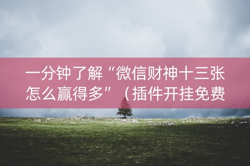 一分钟了解“微信财神十三张怎么赢得多”（插件开挂免费AI)