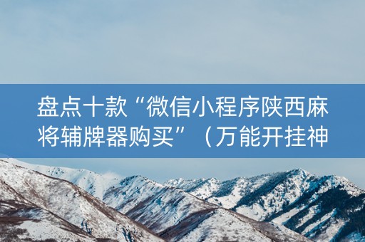 盘点十款“微信小程序陕西麻将辅牌器购买”（万能开挂神器)