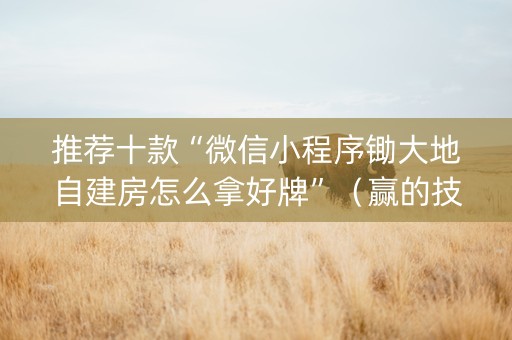推荐十款“微信小程序锄大地自建房怎么拿好牌”（赢的技巧规律)