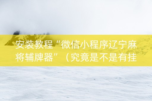 安装教程“微信小程序辽宁麻将辅牌器”（究竟是不是有挂)