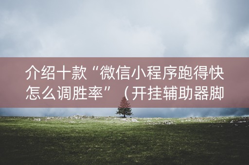 介绍十款“微信小程序跑得快怎么调胜率”（开挂辅助器脚本)