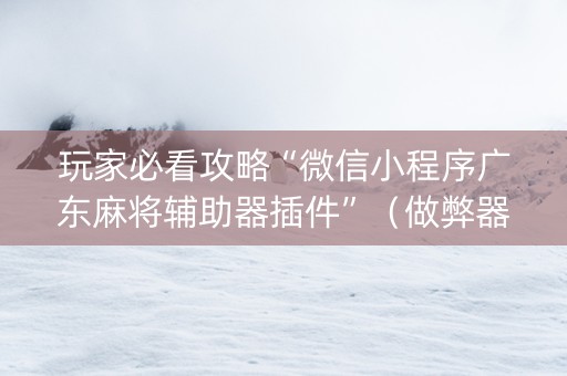 玩家必看攻略“微信小程序广东麻将辅助器插件”（做弊器软件下载)