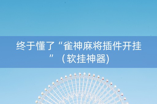 终于懂了“雀神麻将插件开挂”（软挂神器)