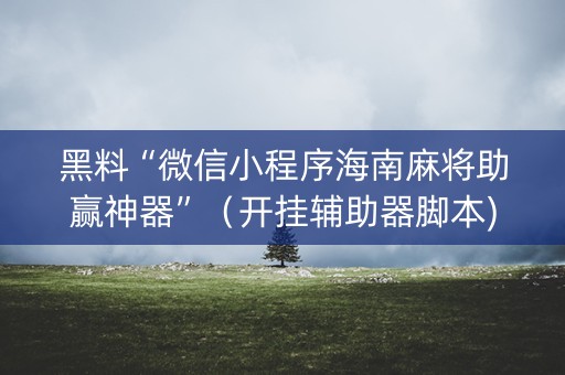 黑料“微信小程序海南麻将助赢神器”（开挂辅助器脚本)