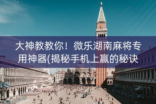 大神教教你！微乐湖南麻将专用神器(揭秘手机上赢的秘诀)