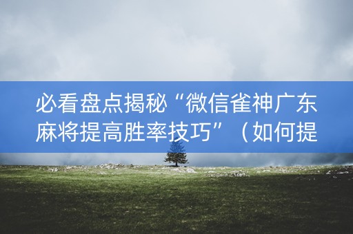 必看盘点揭秘“微信雀神广东麻将提高胜率技巧”（如何提高胜率)