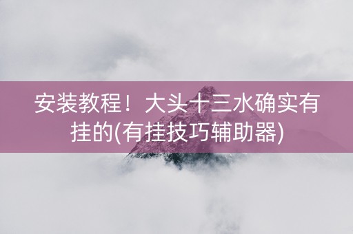 安装教程！大头十三水确实有挂的(有挂技巧辅助器)