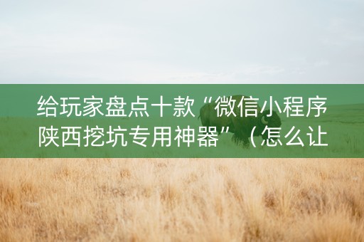 给玩家盘点十款“微信小程序陕西挖坑专用神器”（怎么让系统给你发好牌)