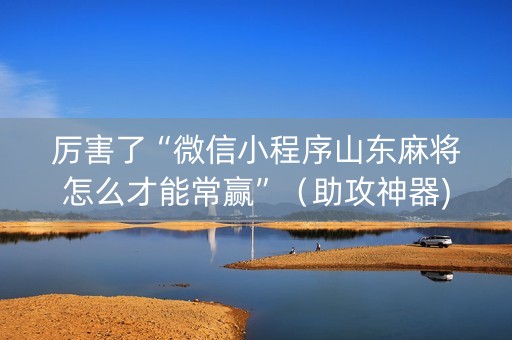 厉害了“微信小程序山东麻将怎么才能常赢”（助攻神器)