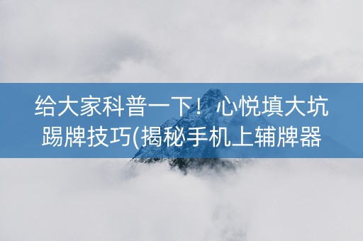 给大家科普一下！心悦填大坑踢牌技巧(揭秘手机上辅牌器)