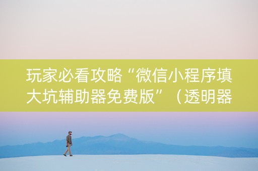 玩家必看攻略“微信小程序填大坑辅助器免费版”（透明器教程)